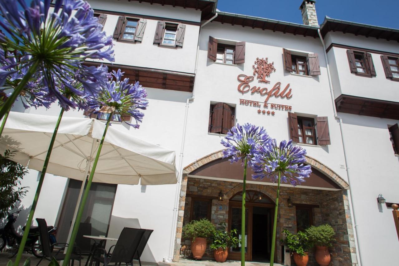 Erofili Hotel & Suites Portariá Kültér fotó