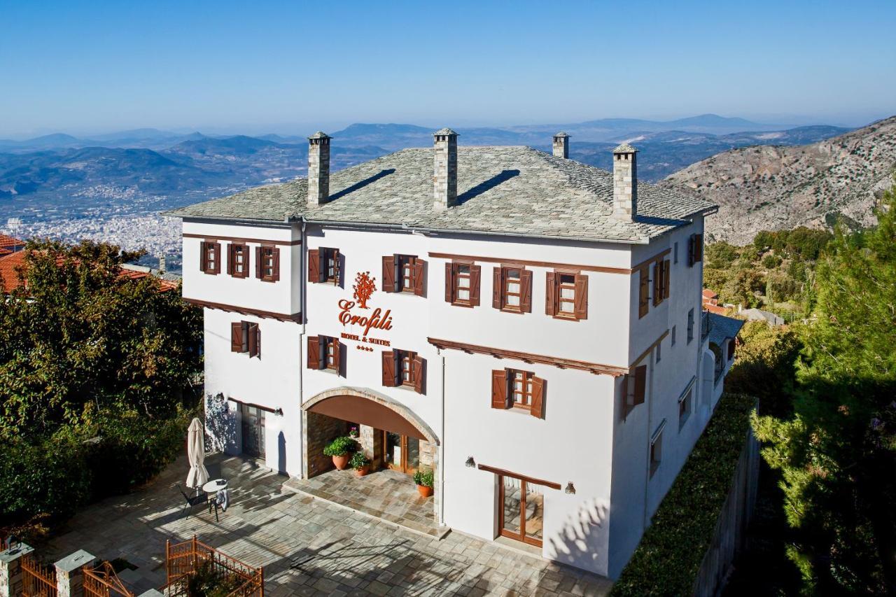 Erofili Hotel & Suites Portariá Kültér fotó