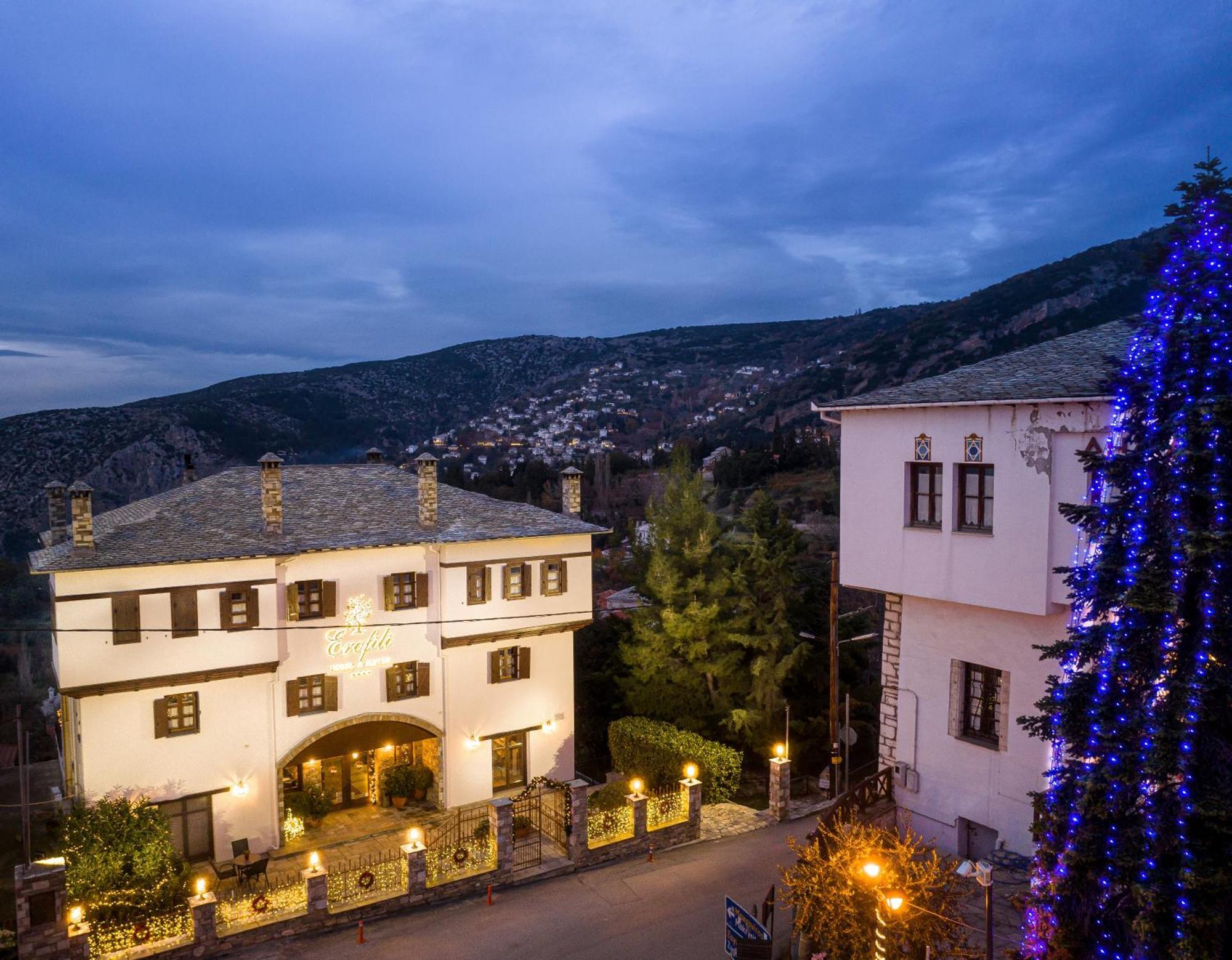 Erofili Hotel & Suites Portariá Kültér fotó